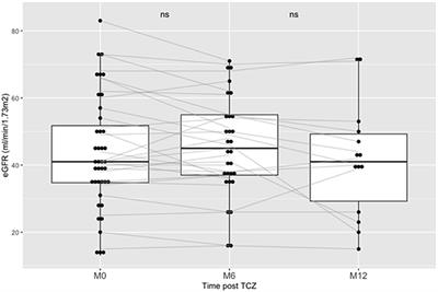 Tocilizumab in the Treatment of Chronic Antibody-Mediated Rejection Post Kidney Transplantation: Clinical and Histological Monitoring